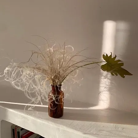 Διαμέρισμα Casa Bellavista *
